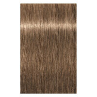Coloration permanente Igora Royal 8-00 blond clair naturel extra