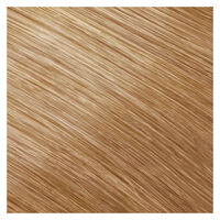 Coloration permanente Topchic 8G