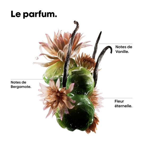 Shampooing r&eacute;parateur Absolut Repair Molecular 1500ml