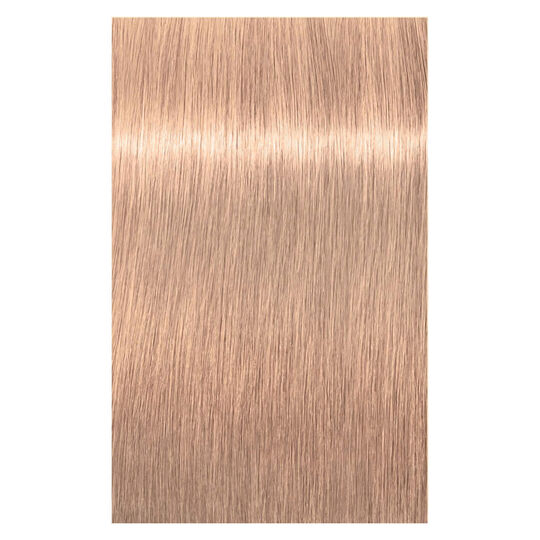 Coloration permanente Igora Royal 12-46 spécial blonde beige chocolat