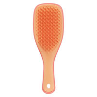 Brosse d&eacute;m&ecirc;lante mini Ultimate Detangler