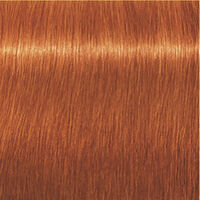 Igora Expert Mousse 8-77