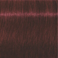Igora Expert Mousse 5-88