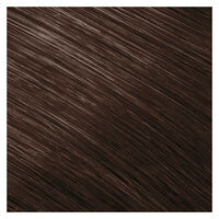 Coloration permanente Topchic 6N