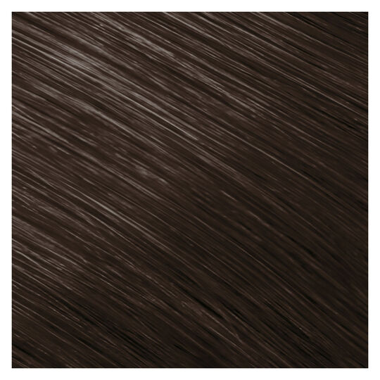 Coloration permanente Topchic 6NA