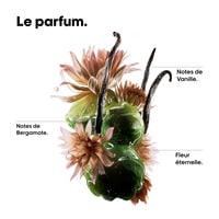 Shampooing r&eacute;parateur Absolut Repair Molecular 500ml