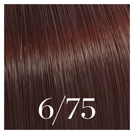 Coloration semi-permanente Color Touch 6/75 blond fonc&eacute; marron acajou