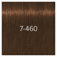 Coloration pour cheveux matures Igora Royal Absolutes 7-460