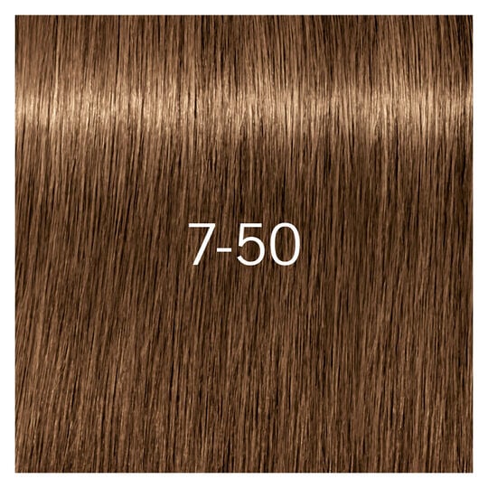 Coloration pour cheveux matures Igora Royal Absolutes 7-50