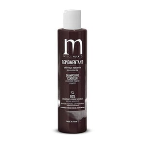 Shampooing repigmentant cendreur