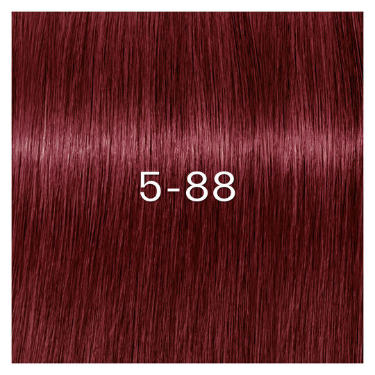 Coloration Igora Zero Amm 5-88 ch&acirc;tain clair rouge extra
