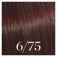 Coloration semi-permanente Color Touch 6/75 blond fonc&eacute; marron acajou