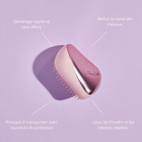 Brosse d&eacute;m&ecirc;lante Compact Styler