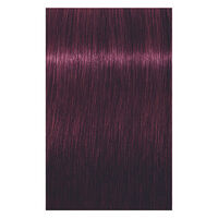 Coloration permanente Igora Royal 6-99 blond foncé violet extra