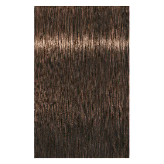 Coloration permanente Igora Royal 5-65 ch&acirc;tain clair chocolat dor&eacute;