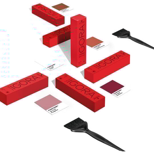 Coloration permanente Igora Royal 6-99 blond fonc&eacute; violet extra