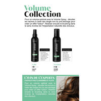 Mousse volumatrice Volume Mousse Artiste