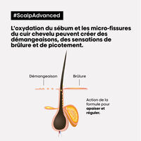 Shampooing dermo-régulateur anti-inconfort Scalp Advanced 500ml,  Shampooing dermo-régulateur anti-inconfort Scalp Advanced 500ml