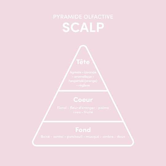 Masque pré-shampooing argile purifiante Scalp