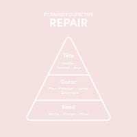 Shampooing cheveux ab&icirc;m&eacute;s Repair 280 ml