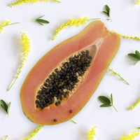 Shampooing dynamisant pour cheveux ondul&eacute;s et boucl&eacute;s