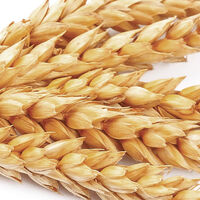 Cr&egrave;me nutritive sans rin&ccedil;age pour cheveux secs