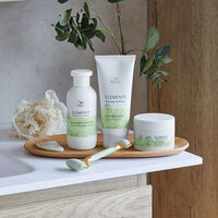 Shampooing régénérant pour cuirs chevelus normaux à gras Renewing Elements 500ml