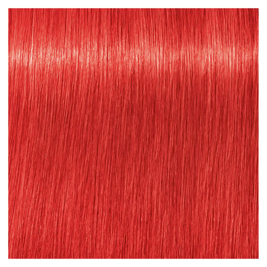 Coloration demi-permanente Igora Vibrance 0-88 booster rouge