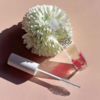 Routine croissance au ricin