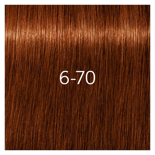 Coloration pour cheveux matures Igora Royal Absolutes 6-70