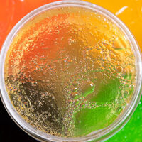 Gelée à l'aloé vera et tea tree Aloe Locks