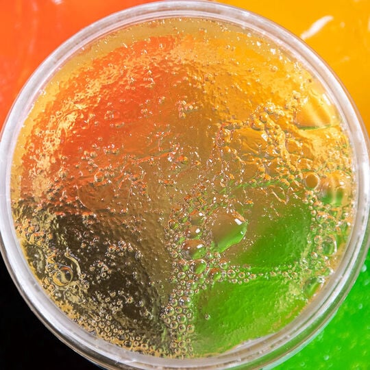 Gelée à l'aloé vera et tea tree Aloe Locks