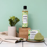 Shampooing solide purifiant à l'ortie piquante,  Shampooing solide purifiant à l'ortie piquante