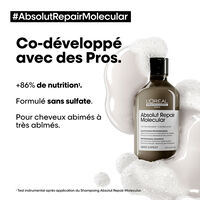 Coffret Absolut Repair Molecular Glacial Utopia