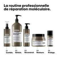Masque professionnel concentré Absolut Repair Molecular 500ml,  Masque professionnel concentré Absolut Repair Molecular 500ml