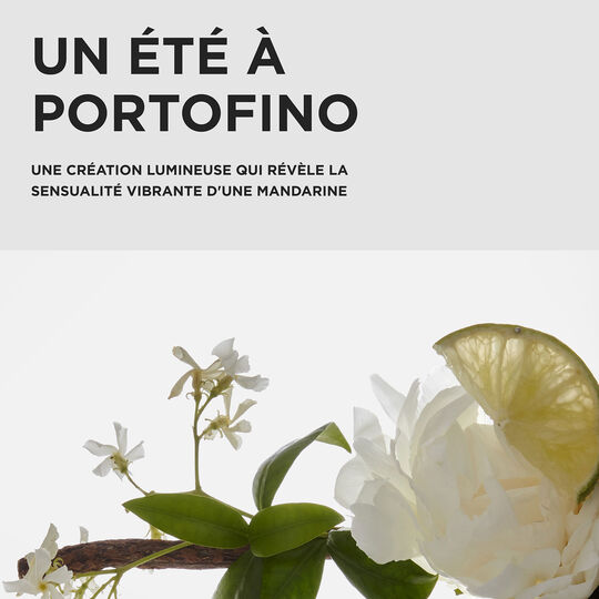 Coffret r&eacute;parateur Premi&egrave;re