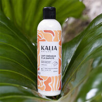 Lait cr&eacute;meux &agrave; la sapote