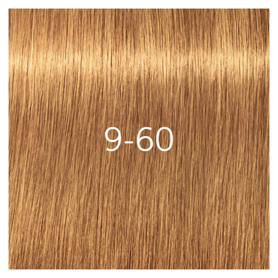 Coloration pour cheveux matures Igora Royal Absolutes 9-60