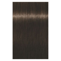 Coloration permanente Igora Royal 4-65 ch&acirc;tain chocolat dor&eacute;