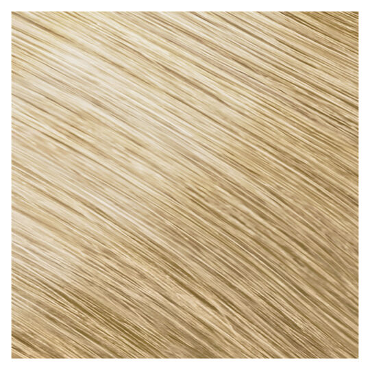 Coloration permanente Topchic 11N