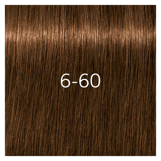 Coloration pour cheveux matures Igora Royal Absolutes 6-60