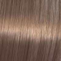 Coloration gloss Shinefinity 06/73 caramel chocolate