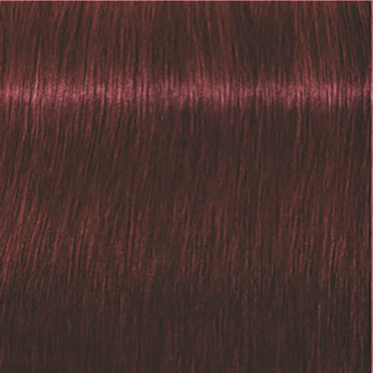 Igora Expert Mousse 5-88