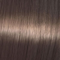 Coloration gloss Shinefinity 04/07 bitter chocolate