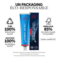 Coloration permanente Color Xpress 10/ blond très très clair naturel